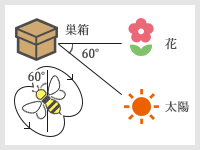 参考：ダンスで伝える情報